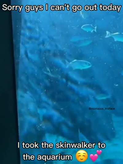 Ayo he isn't actually that bad, he just wanted to go see the fishes 🤗