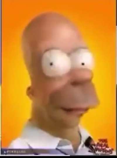 joe biden jr