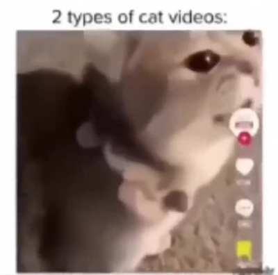 My lungs hurt, send help