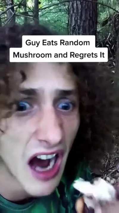 Mushroom Hunting