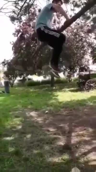 Getting pantsed by a tree