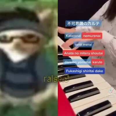 xD