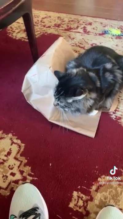 Bob trapped Johnny in the bag&hellip;