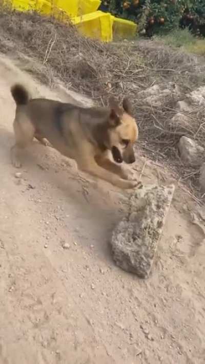 So that&rsquo;s how the pyramids were built..
