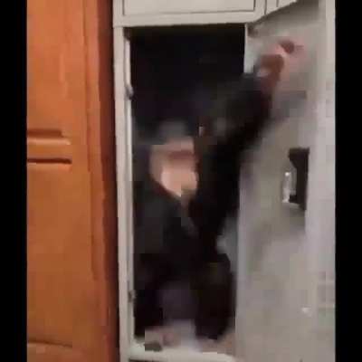 Macaco