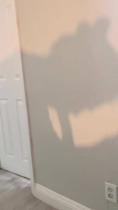Mexican guys with big cut cocks can get it