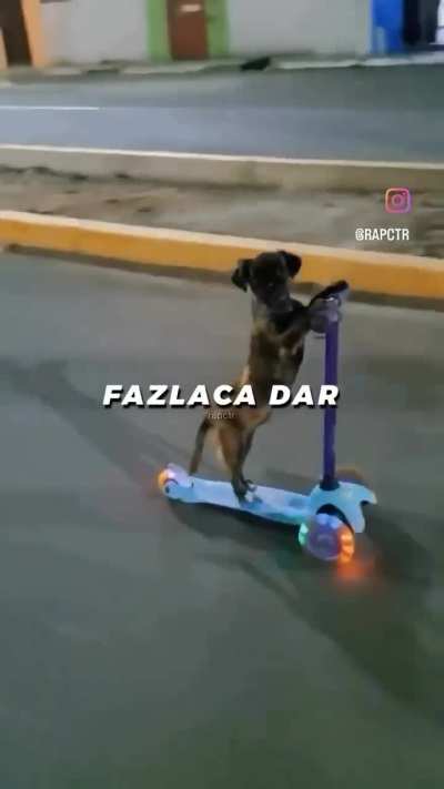 ZENClPOPO