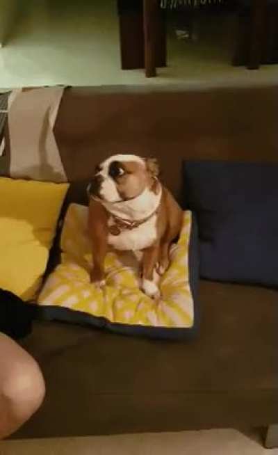Not to worry you, but there's a demon on the couch