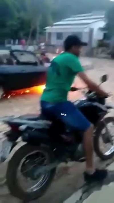 Птичку жалко