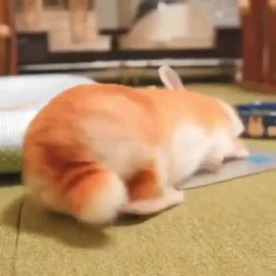 Smol potato
