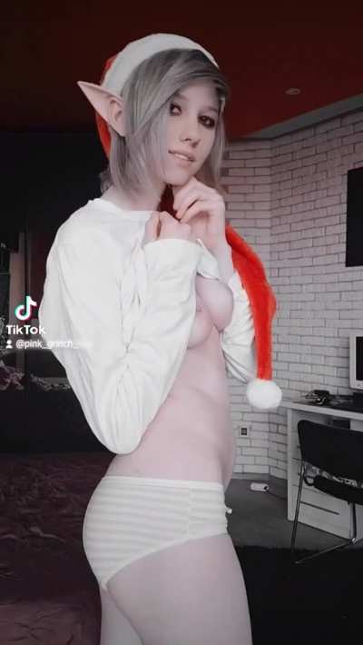 You've been good this year ... so santa decided to loan you his best elf!