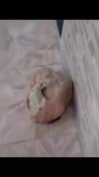 PEDRA