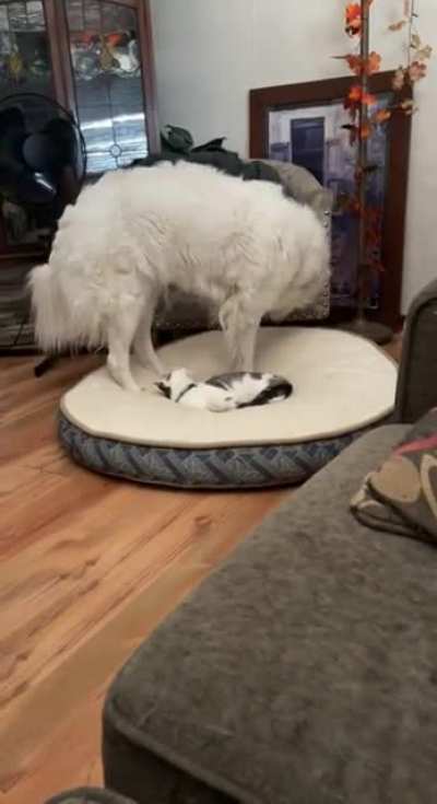 Maybe maybe maybe