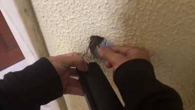 Help! Eufy Video doorbell E340 doesn&rsquo;t stop ringing original house chime
