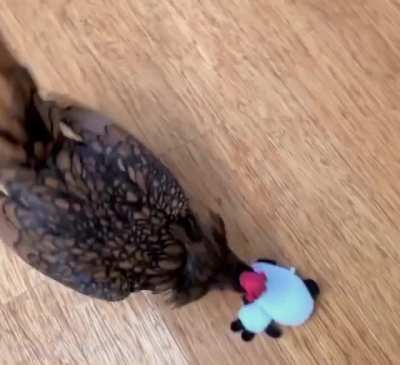 Playing with a toy