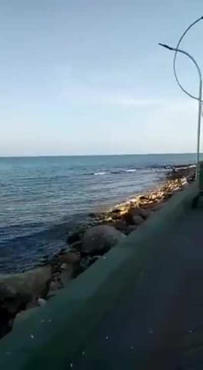 Şarkıyı bilen var mı 