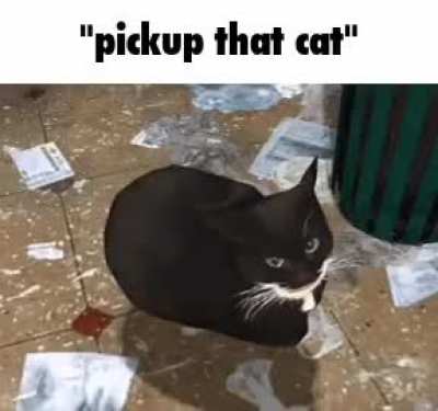 rule