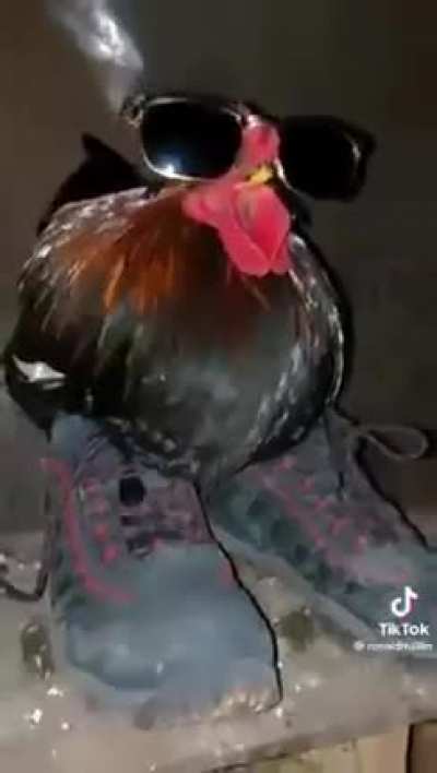 Frango
