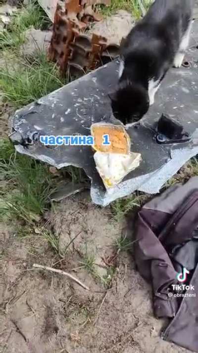 "Now we will see how a cat will eat russian dry ration "goulash with potatoes"... Apparently he won't. Even Ukrainian cats refuse to eat shit like this"