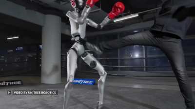 Unitree H2 and G1 robots sparring test. Thoughts?