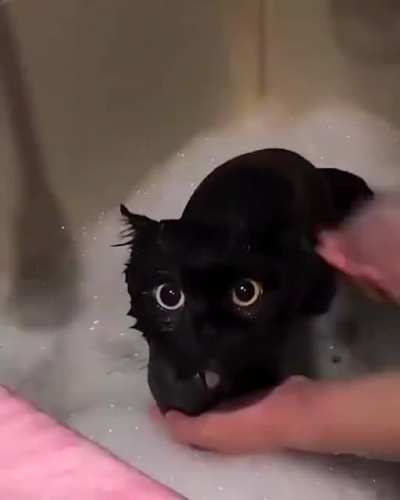Bath time 🥺