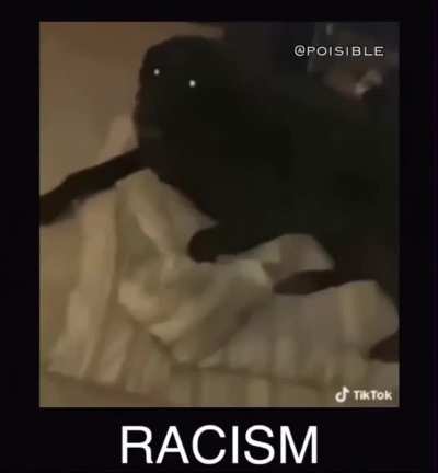 Racismo n pfv