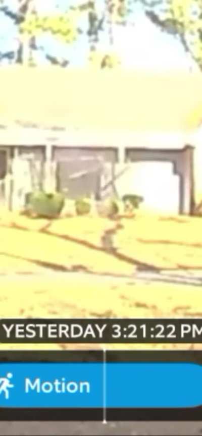 Anyone know what could have caused this? Sorry for the bad quality it was caught on a doorbell camera. The window looks like it sucks in first &amp;amp; then bursts.