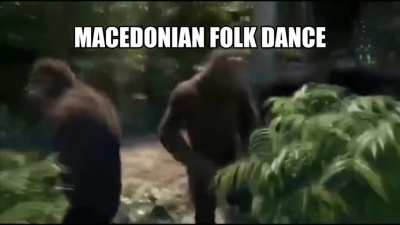 MONKEYDONIAN FOLK DANCE 😱🤣🤣🤢🤨😉😉