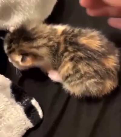 Don&rsquo;t touch mee!