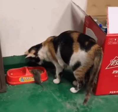 sharing is caring