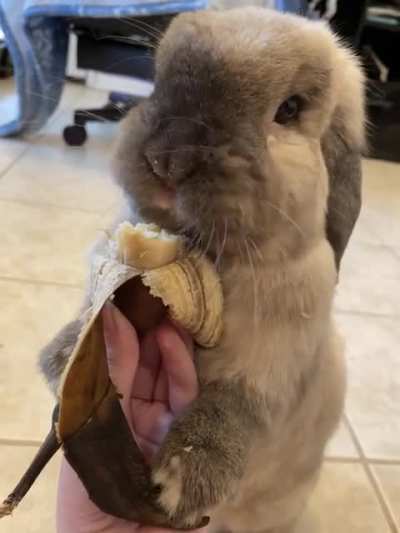 Nana monster