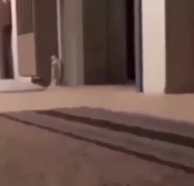 Had this saved and thought y'all would enjoy it