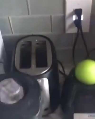 Fun with blenders