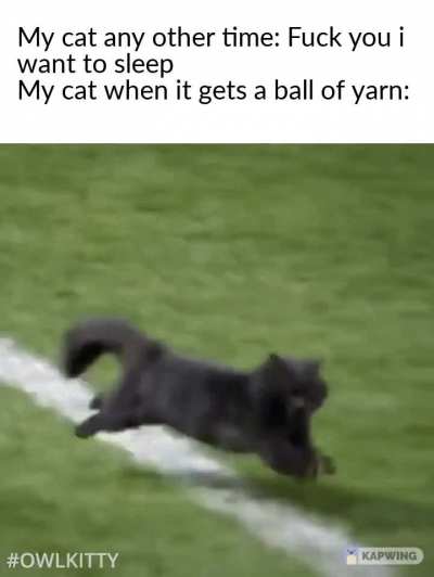 suddenly active