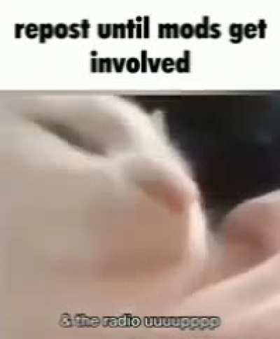 repost it you wont