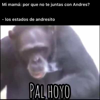No me hablen toy pal hoyo 😔