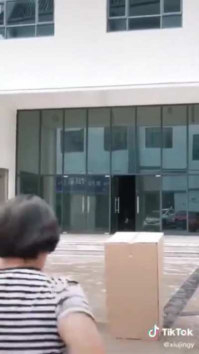 This intense chase scene.