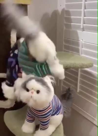 to kill a toy