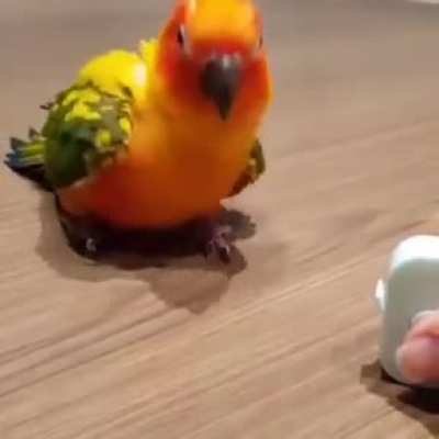 "I dont understand this, so i will dance"