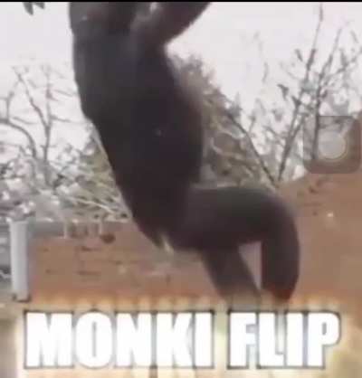 5 subs