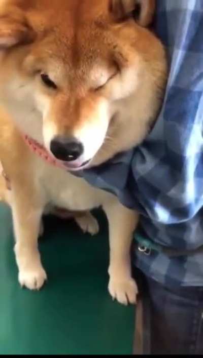 he scream