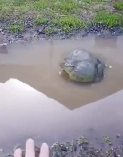 Maybe Maybe Maybe
