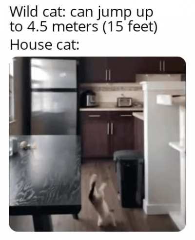 To jump on the slab