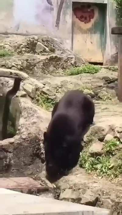 Training to be a Bōjutsu Master. I can bearly believe it.