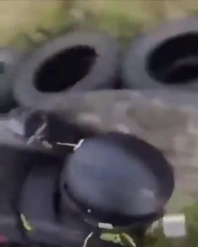 (Don&rsquo;t know the date) just a video of a fight