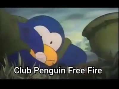 Que genial está el nuevo juego de Club Penguin mis licenciados