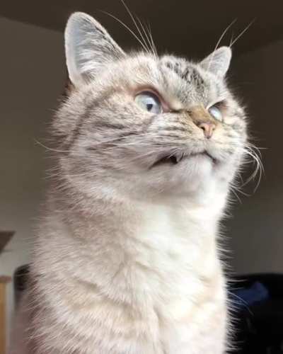 Me watching my portfolio this morning.