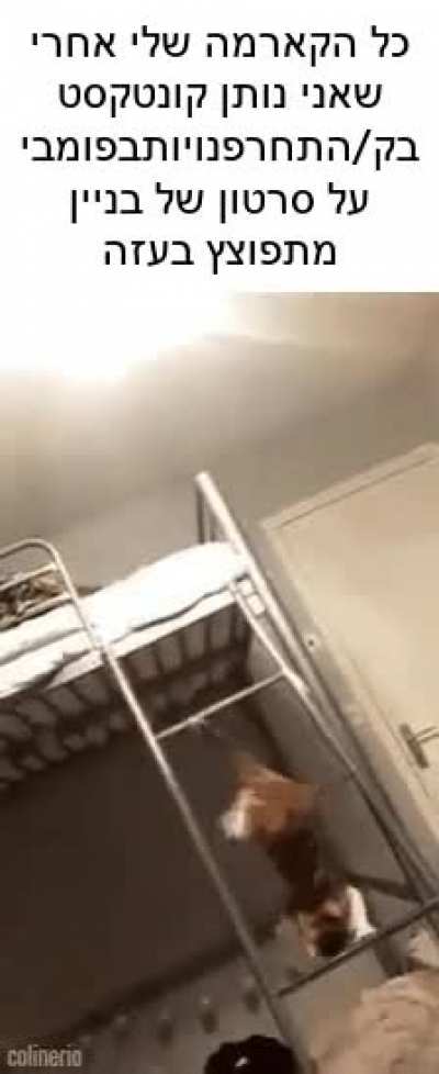 r/publicfreakouts_במציאות