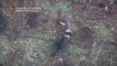 Compilation of drone drops by the 6th SR of the 5th OSHBr on Russians soldiers. May 2024.