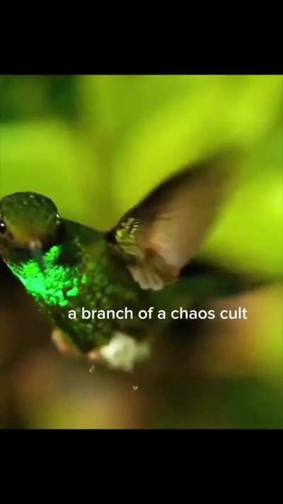 It do be like that